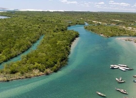 Rio Guriú e o Parque Nacional de Jericoacoara (CE)