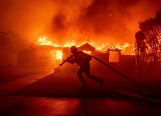 Incêndios tomam conta de bairros inteiros em Los Angeles