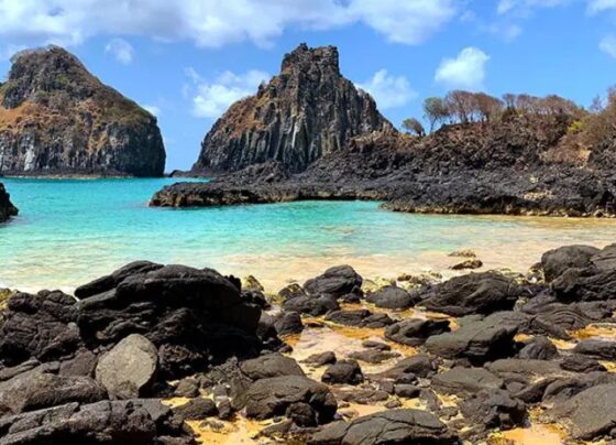 Conhecida por suas águas cristalinas e vida marinha exuberante, Fernando de Noronha, em Pernambuco, é um verdadeiro paraíso para os amantes da natureza.