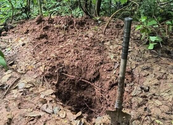 A polícia Civil segue em diligência no local.