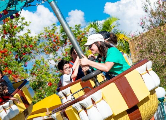 Maior parque temático de São Paulo oferece mais de 40 atrações aos visitantes