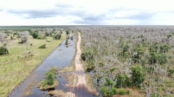 A marca de 5 mil km² de desmatamento anual foi ultrapassada pela primeira vez no último ano de mandato do ex-presidente, em 2022, com 5.462,96 km² devastados.