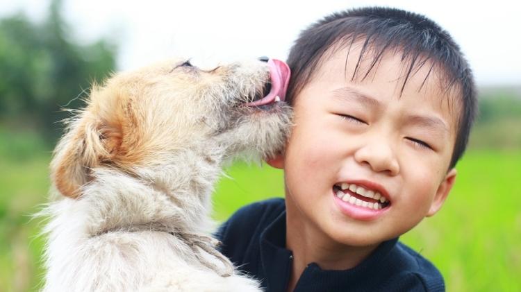 Lambidas de cachorros podem ter várias explicações