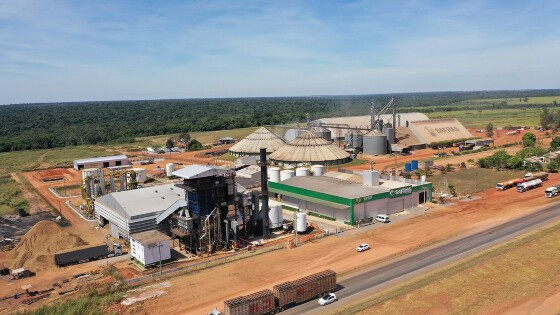 Grupo Safras tem novo acionista majoritário, que pediu suspenção de recuperação judicial