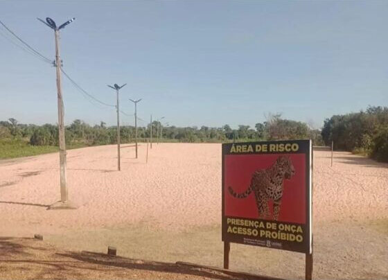 Placas alertam para a proibição de acesso à Praia do Daveron