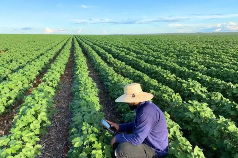 Agro cria quase 23 mil vagas em um mês e assume 2º lugar na geração de empregos