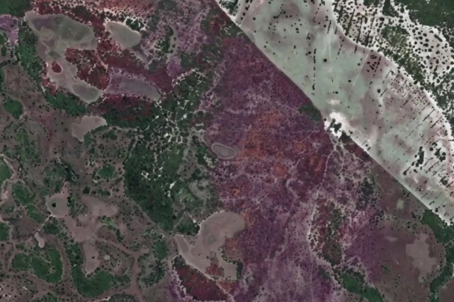 Desmatamento em fazenda tem acordo para recuperar terras e pagar multa em MS