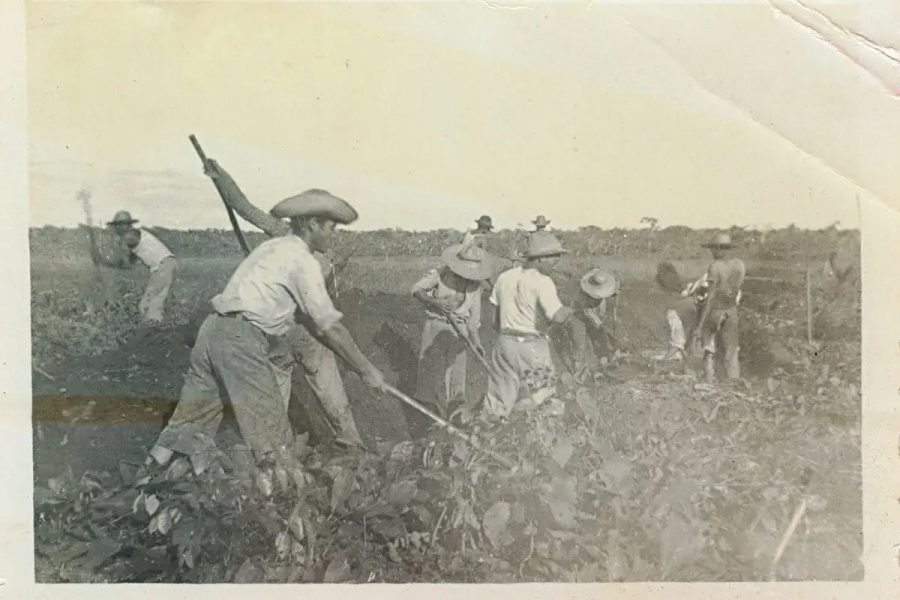 Dia do Agricultor: Celebrando os 15 milhões de produtores do Brasil