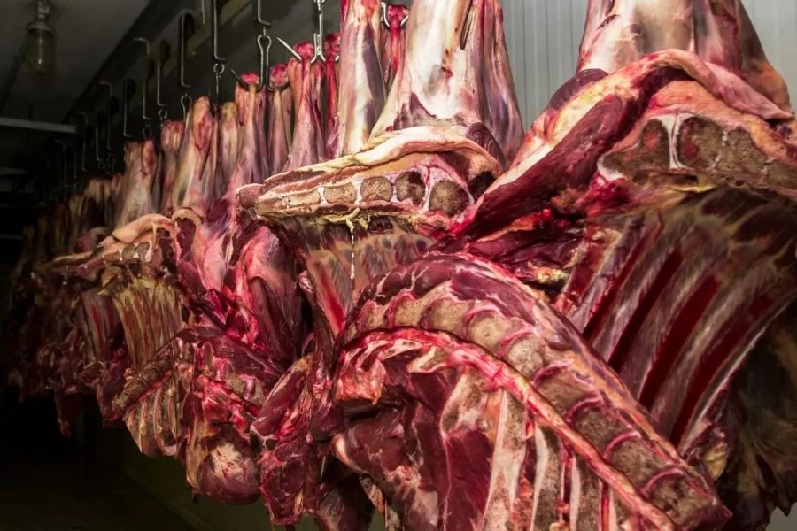 Governo Brasileiro Rejeita Novas Regras da UE para Exportação de Carnes