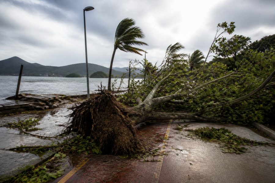 Ventos provocam danos na Costa Verde e na região serrana do RJ