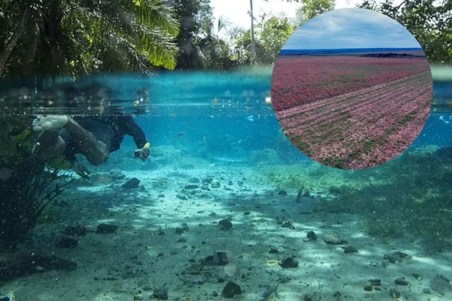 Área verde sob investigação na Capital do Ecoturismo