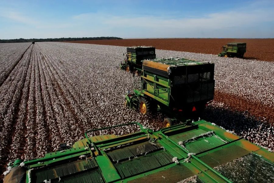Centro-Oeste tem maior avanço na adoção de criptomoedas no Brasil impulsionadas pelo agro