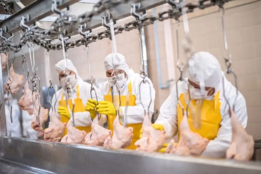 Frango dispara, boi recua e exportações do agro batem recorde de US$ 16,3 bi em julho