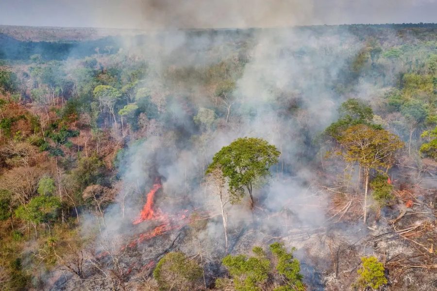 MT lidera emissões de gases poluentes, mas registra queda entre 2023 e 2024, aponta anuário climático