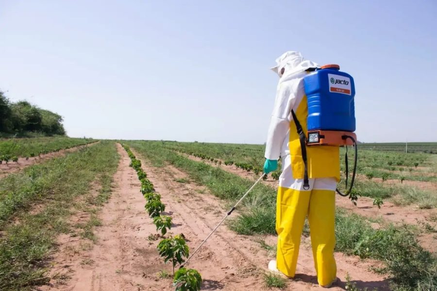 TJMT impõe restrições na aplicação de defensivos em pequenas propriedades