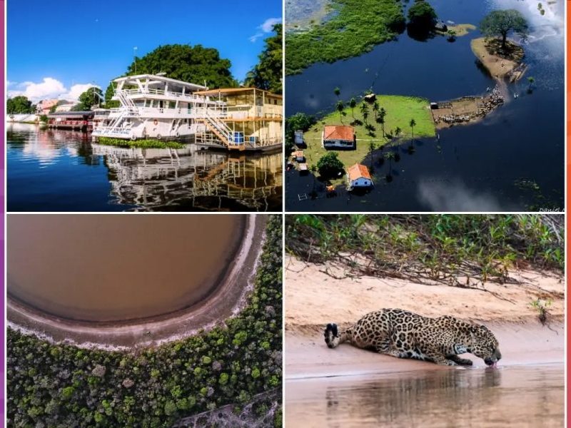 11 Pantanais? Descubra o que existe por trás da maior planície alagável do mundo