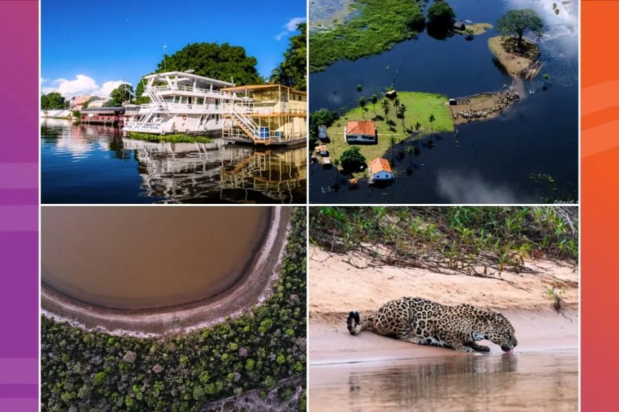 11 Pantanais? Descubra o que existe por trás da maior planície alagável do mundo