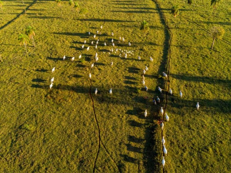 Após reclamações do agro, Receita libera envio do Imposto Rural para propriedades de qualquer tamanho