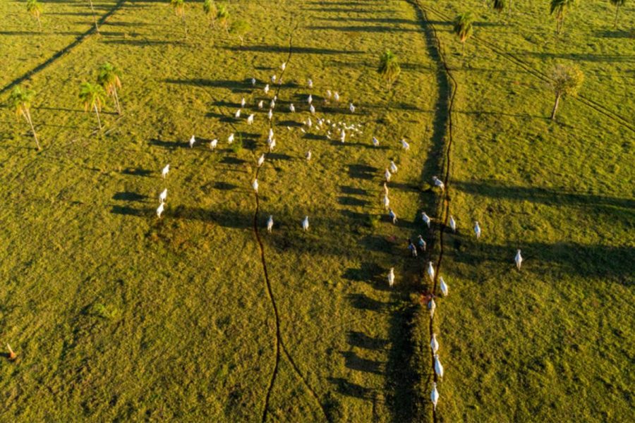 Após reclamações do agro, Receita libera envio do Imposto Rural para propriedades de qualquer tamanho