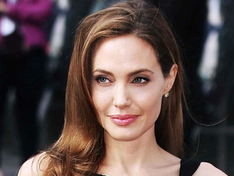 Aposentadoria na Ásia: Angelina Jolie transforma 39 hectares de floresta no Camboja em reserva com 30 espécies