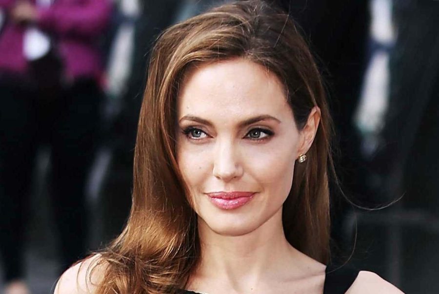 Aposentadoria na Ásia: Angelina Jolie transforma 39 hectares de floresta no Camboja em reserva com 30 espécies