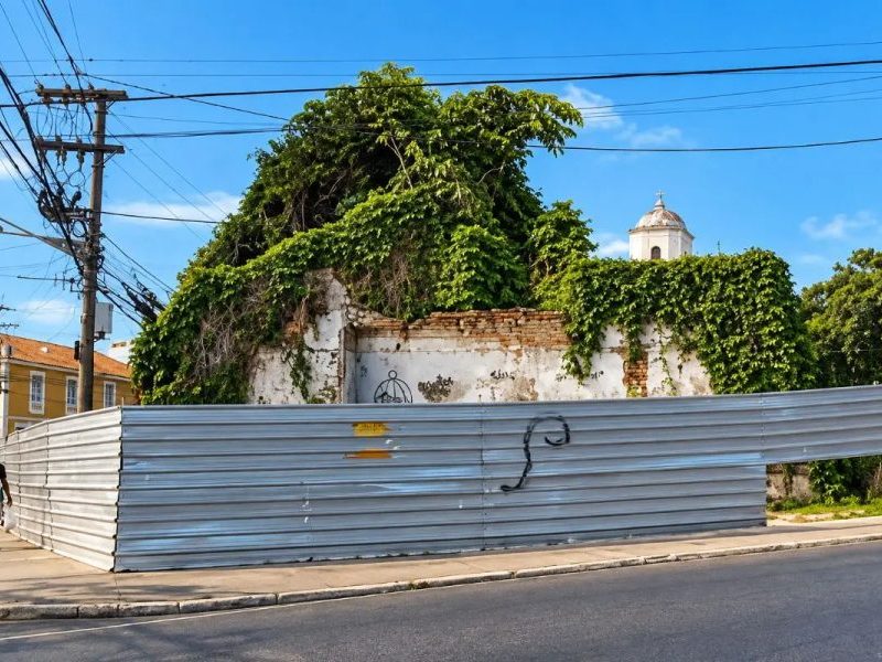 Árvore que nasceu entre ruínas será incorporada ao novo projeto da Ilha da Banana em Cuiabá, diz prefeito