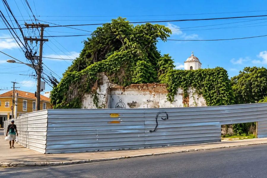 Árvore que nasceu entre ruínas será incorporada ao novo projeto da Ilha da Banana em Cuiabá, diz prefeito
