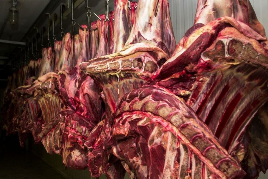 Brasil poderá usar sobra da cota do Uruguai para vender carne à China, diz Lula