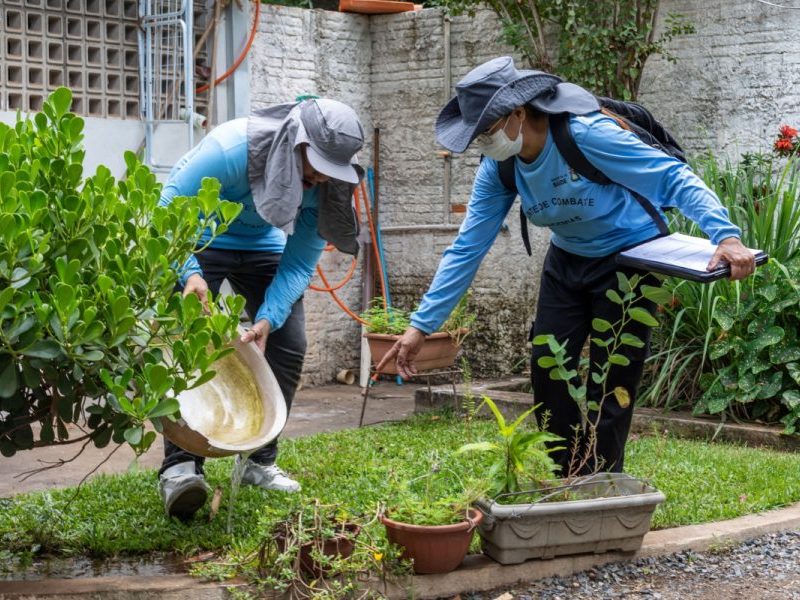 Casos de dengue crescem mais de 50% em dois meses em Cuiabá