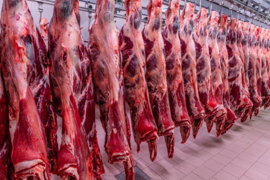 Embargo da União Europeia: produtos de origem animal afetados