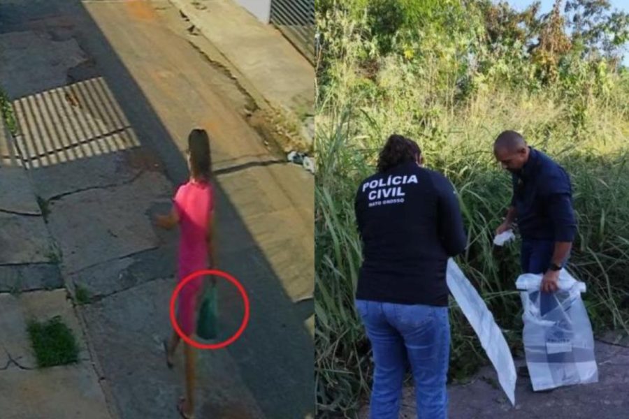 Justiça revoga prisão de estudante indiciada por maus-tratos a gatos