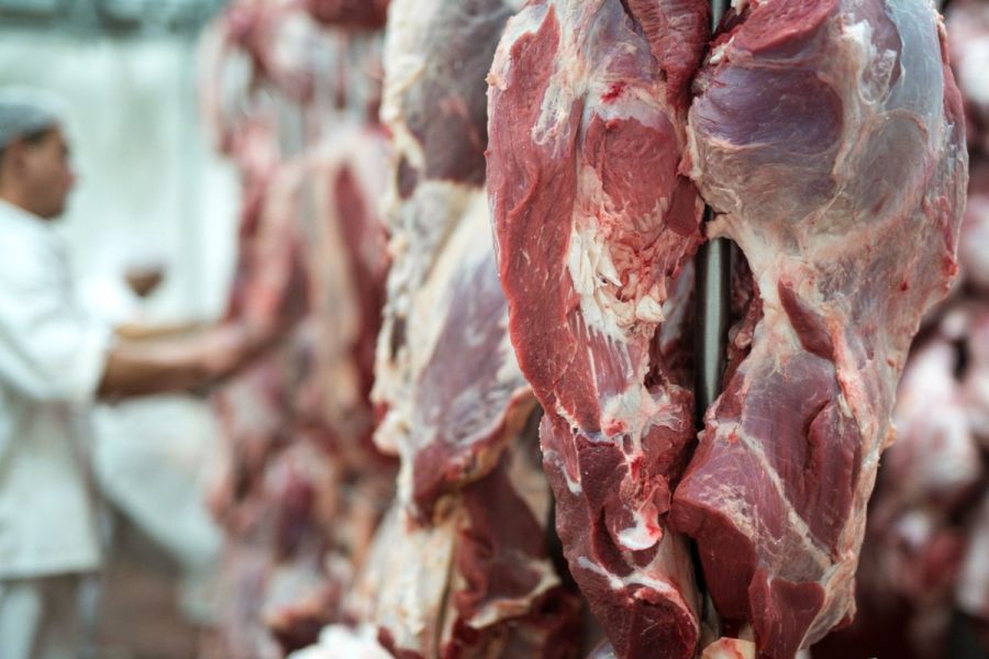 Europa paga 45% mais pela carne de MT que a China; embargo fecha mercado