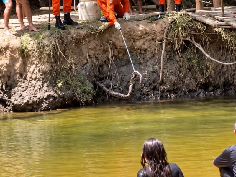 Jararaca se esconde em barranco e é capturada a poucos metros de área frequentada por banhistas em MT