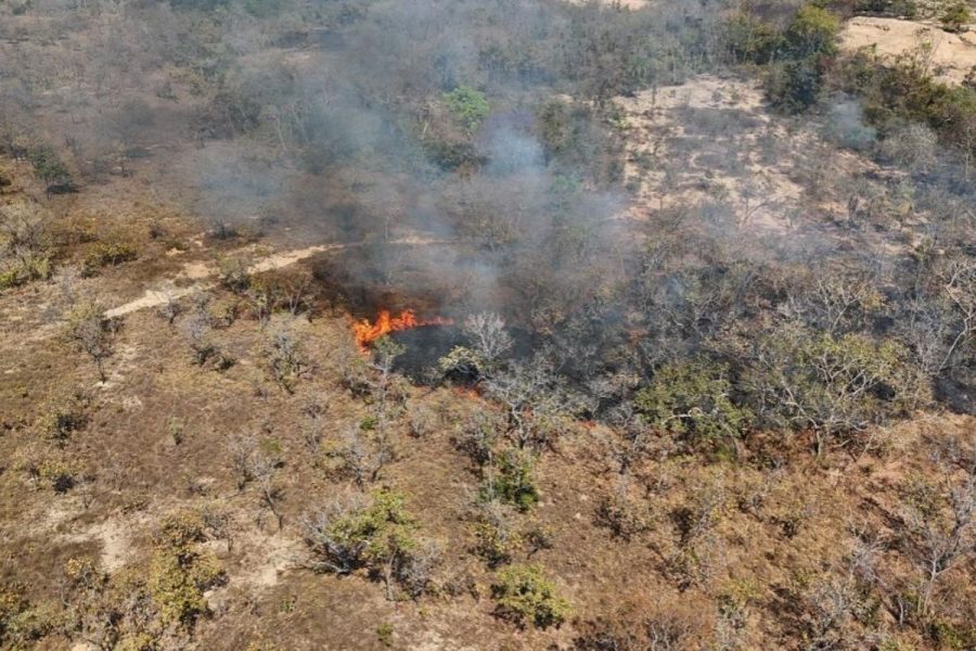Mato Grosso registra 191 focos de queimadas em setembro