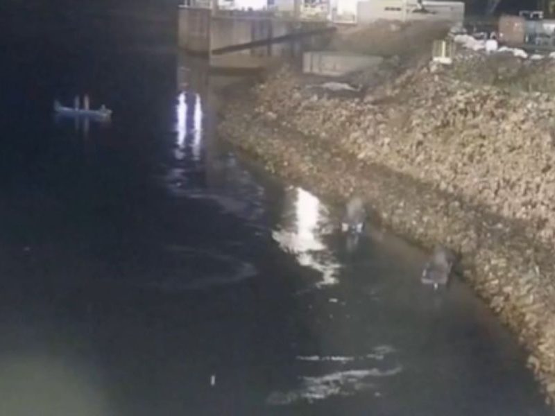 Pescadores ignoram zona de perigo em busca de peixes, chegam perto de turbinas de usina em Sinop e correm risco de vida