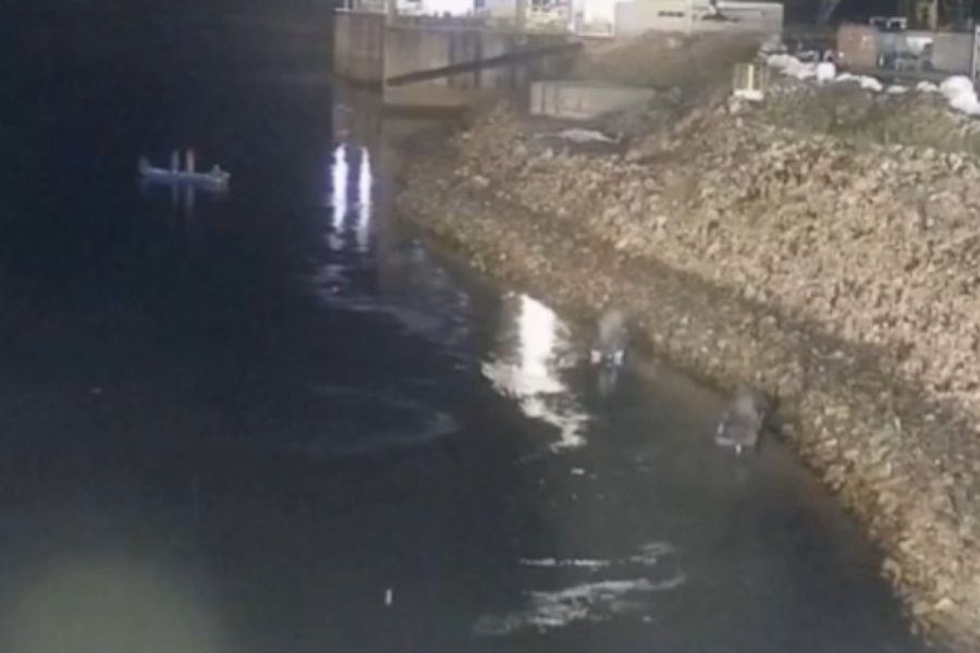 Pescadores ignoram zona de perigo em busca de peixes, chegam perto de turbinas de usina em Sinop e correm risco de vida