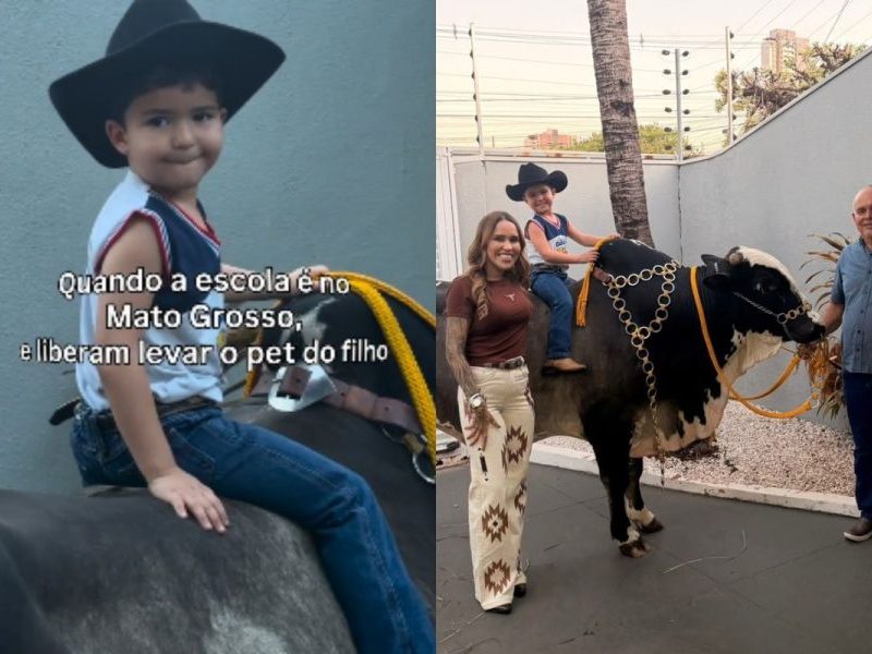 Pet de meia tonelada: menino de 4 anos vai à escola montado em touro de 600 kg em MT
