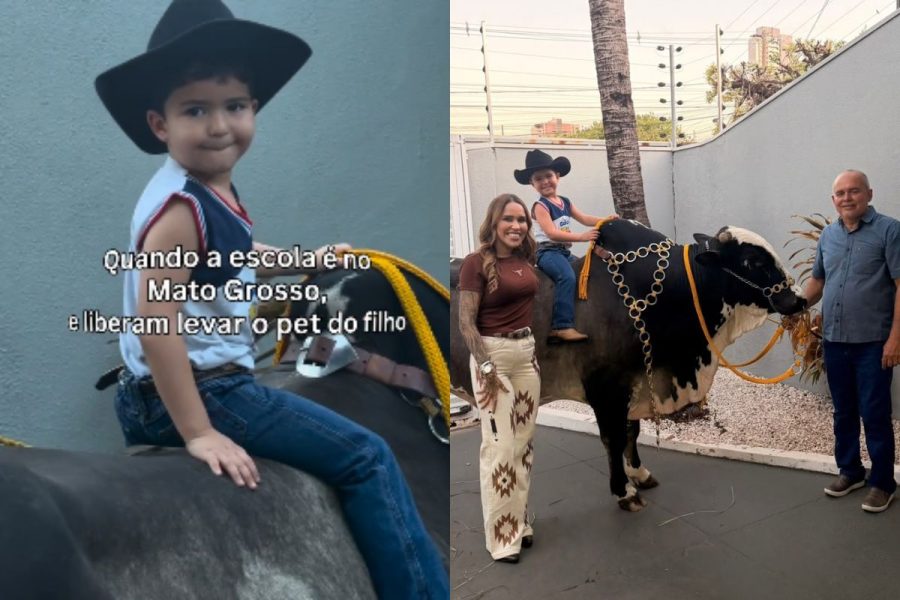 Pet de meia tonelada: menino de 4 anos vai à escola montado em touro de 600 kg em MT