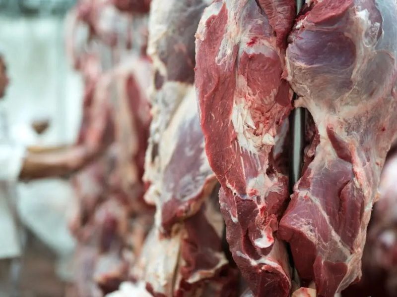 Porto no Peru pode virar nova rota da carne de MT para a Ásia