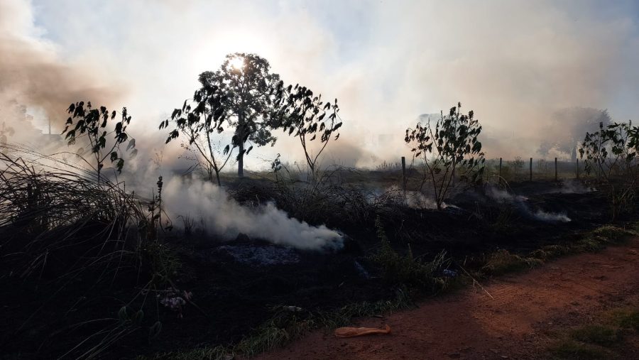 Campo Grande intensifica ações contra queimadas e terrenos sujos