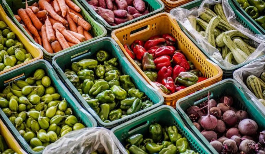 Prefeitura divulga lista de agricultores aprovados para fornecer alimentos ao PAA; confira