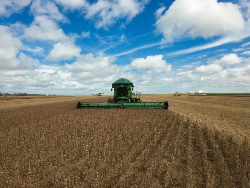 Sorriso perde título de maior produtor agrícola do Brasil