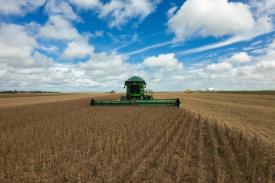 Sorriso perde posto de maior produtor agrícola do Brasil após mudança no mapa; veja quem lidera