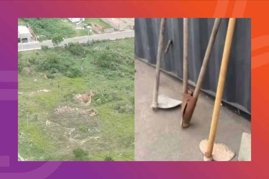 9 suspeitos são presos por invasão e desmatamento em área de preservação no Contorno Leste