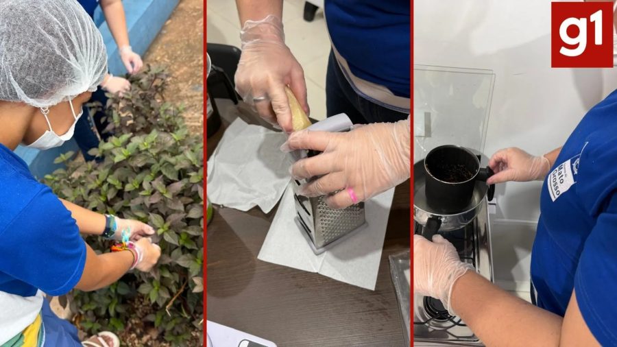 Alunas de escola do campo em MT produzem seis tipos de pomadas com plantas medicinais