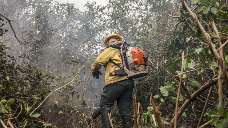 Amazonas registra 540 novos focos de incêndio em 48 horas