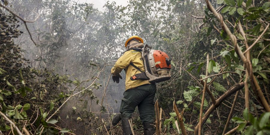 Amazonas registra 540 novos focos de incêndio em 48 horas