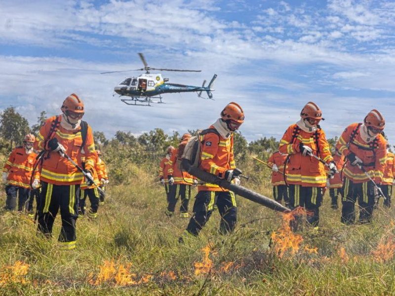 Bombeiros enfrentam incêndio em vegetação em Campo Verde
