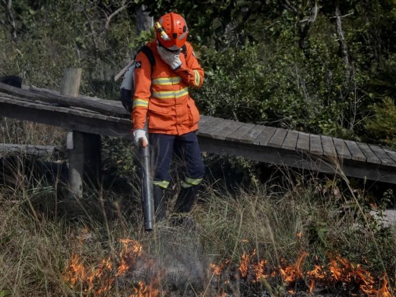 Corpo de Bombeiros enfrenta seis incêndios florestais em MT hoje