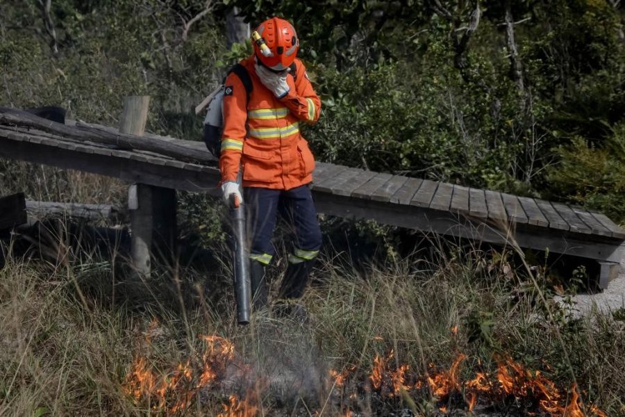 Corpo de Bombeiros combate seis incêndios florestais nesta quinta-feira (8)
